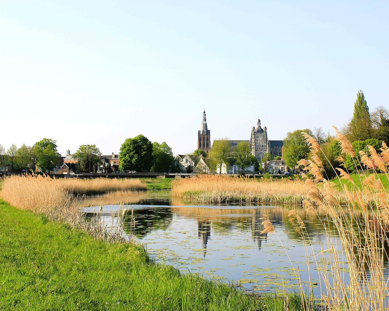 tuin in Den Bosch